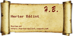 Herter Bálint névjegykártya